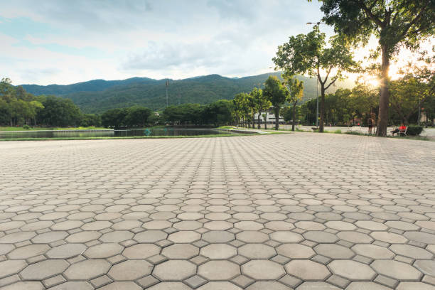 Best Decorative Driveway Paving in Delano, MN